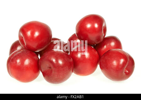 La prune mûre fruits isolé sur fond blanc Banque D'Images