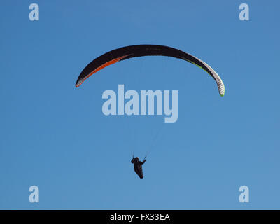 Newcastle sur Tyne, Royaume-Uni 10 avril 2016, la météo. Les pilotes de l'air en parapente équitation les thermiques off un complexe d'appartements sur le Port of Tyne sur une journée venteuse à Tynemouth. Credit : James Walsh/Alamy Live News Banque D'Images