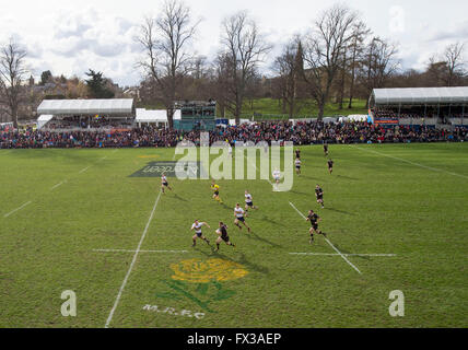 09/04/2016, le Melrose 7-a-side football, rugby, tournoi, le Greenyards, Melrose, l'Écosse. Banque D'Images