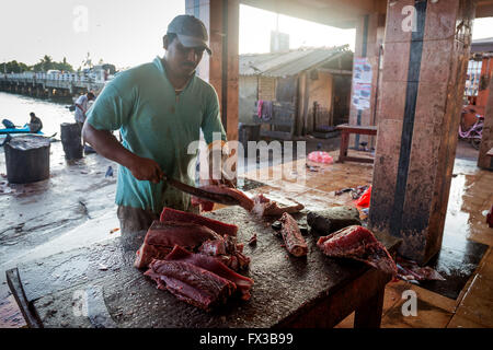 Poissonnier de fileter le poisson frais, port de pêche, le lagon de Negombo, Negombo, Sri Lanka, de l'Océan Indien, l'Asie Banque D'Images