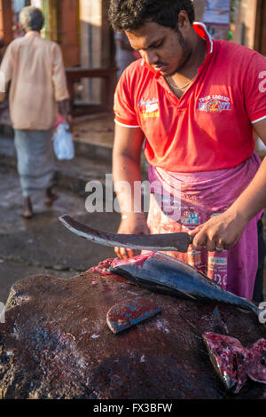 Poissonnier de fileter le poisson frais, port de pêche, le lagon de Negombo, Negombo, Sri Lanka, de l'Océan Indien, l'Asie Banque D'Images