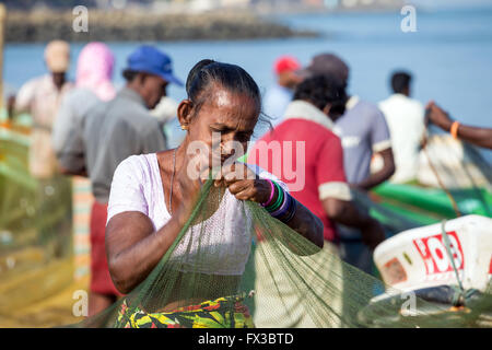 Les gens de la réparation des filets de pêche au milieu de leurs bateaux de pêche colorés à la plage de Negombo, Sri Lanka Banque D'Images