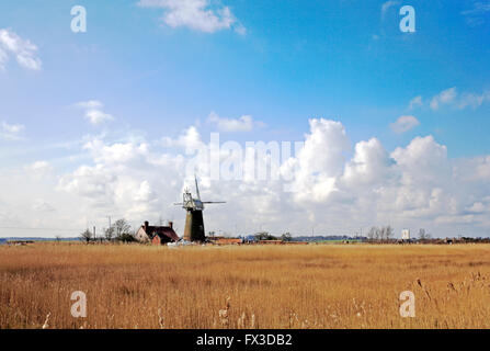 Une scène emblématique sur les Norfolk Broads de drainage près de l'usine d'armes Il Stokesby, Norfolk, Angleterre, Royaume-Uni. Banque D'Images