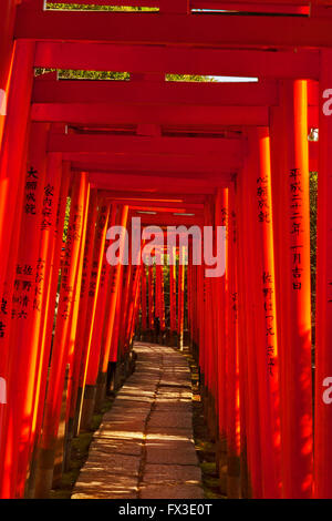 Le Torii dans le Temple Nezu Banque D'Images