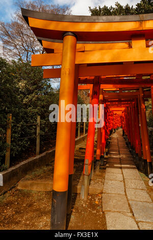 Le Torii dans le Temple Nezu Banque D'Images