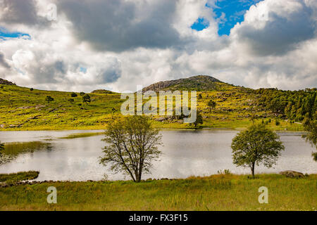 Petit lac dans paysage de Norvège. Banque D'Images