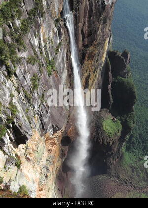 Angel Falls Cascade au Venezuela. Est la plus haute cascade d'une hauteur de 979 mètres. Banque D'Images