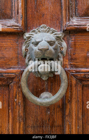 Tête de lion en laiton knocker sur une vieille porte Banque D'Images