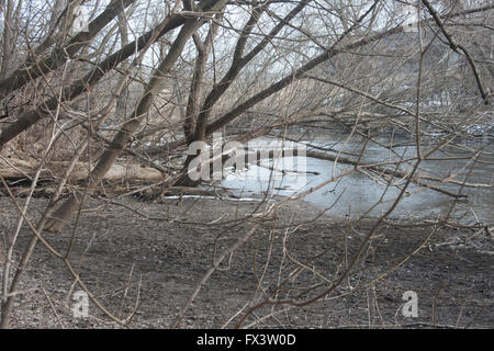 Le long du chemin River, au début du printemps à Milwaukee, WI Banque D'Images