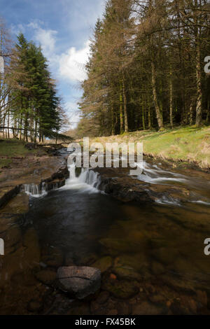 Blean Llia, le flux, Breacon Beacons National Park, Pays de Galles, Royaume-Uni Banque D'Images