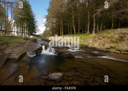 Blean Llia, le flux. Breacon Beacons National Park, Pays de Galles, Royaume-Uni Banque D'Images