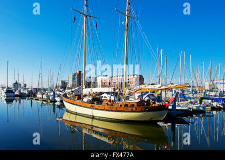 Marina de Hull, Hull, East Riding of Yorkshire, Angleterre, Humberside Banque D'Images