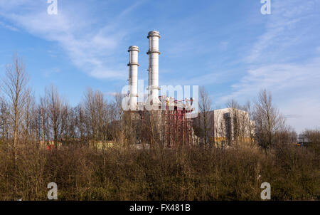 Sur le côté est de la rivière Nene, Sutton Bridge, Lincolnshire, Angleterre, RU Banque D'Images