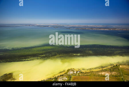 Vue aérienne du nord au sud de la Camargue, Arles, au nord des Saintes-Maries-de-la-Mer, Arles, France, Provence-Alpes-Côte d'Azur, Banque D'Images