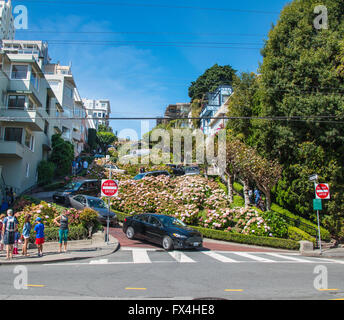 Voitures en méandre Lombard Street, San Francisco, California, USA Banque D'Images