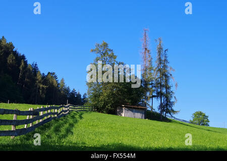Almhütte in den Alpen - chalet dans les Alpes européennes, vert Pâturage Banque D'Images