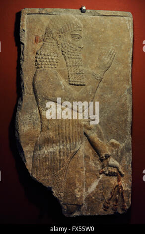 Prêtre tenant une pousse. Relief du palais de Sargon II à Dur-Sharrukin( Khorsabad, Iraq). La pierre calcaire. 8ème siècle avant J.-C.. Le Musée de l'Ermitage. Saint Petersburg. La Russie. Banque D'Images