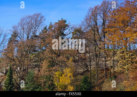 Jonsdorf Felsen im Herbst im Naturparkhotel Haus Hubertus - Charleston rocks à l'automne dans les montagnes de Zittau Banque D'Images