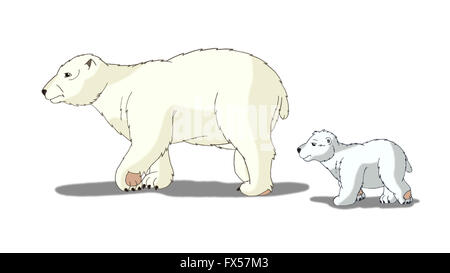 L'ours polaire isolé sur fond blanc Banque D'Images