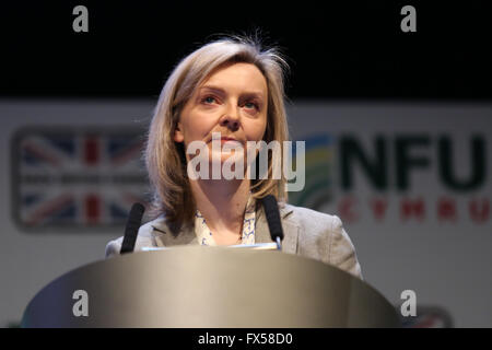 Elizabeth Truss, Secrétaire d'État à l'environnement, de l'Alimentation et des affaires rurales s'exprime lors de la conférence 2016 des cultivateurs. Banque D'Images