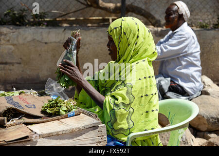 DJIBOUTI, Arta, les femmes vendent des feuilles de khat, qui est un médicament à mâcher / DSCHIBUTI, Arta, Verwaltung der Droge le khat, das der Kauen Blaetter des Kathstrauch Rauschzustand erzeugt einen à Djibouti, ist der Verwaltung staatlich geregelt, die Blaetter kommen aus Aethiopien Banque D'Images