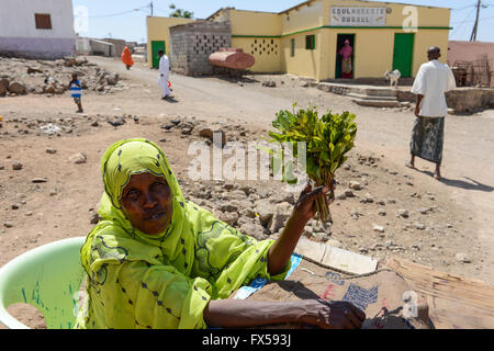 DJIBOUTI, Arta, les femmes vendent des feuilles de khat, qui est un médicament à mâcher / DSCHIBUTI, Arta, Verwaltung der Droge le khat, das der Kauen Blaetter des Kathstrauch Rauschzustand erzeugt einen à Djibouti, ist der Verwaltung staatlich geregelt, die Blaetter kommen aus Aethiopien Banque D'Images