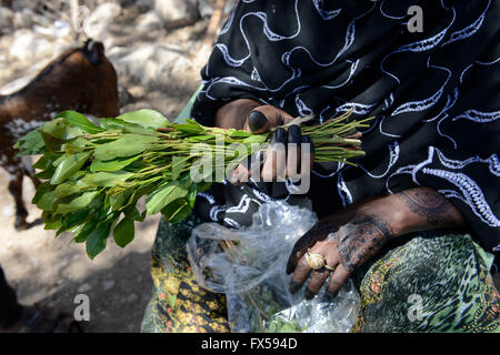 DJIBOUTI, Arta, les femmes vendent des feuilles de khat, qui est un médicament de mastication, la femme à la main peinture / DSCHIBUTI Mehndi, Arta, Verwaltung der Droge le khat, das der Kauen Blaetter des Kathstrauch Rauschzustand erzeugt einen à Djibouti, ist der Verwaltung staatlich geregelt, die Blaetter kommen aus Aethiopien, Frau mit Handbemalung Mehndi Banque D'Images