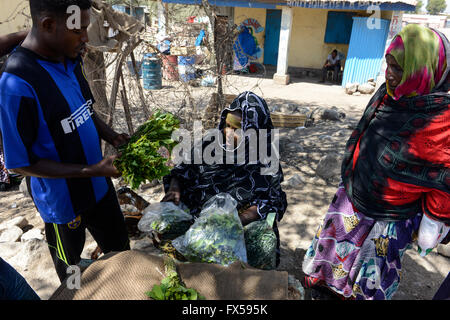 DJIBOUTI, Arta, les femmes vendent des feuilles de khat, qui est un médicament à mâcher / DSCHIBUTI, Arta, Verwaltung der Droge le khat, das der Kauen Blaetter des Kathstrauch Rauschzustand erzeugt einen à Djibouti, ist der Verwaltung staatlich geregelt, die Blaetter kommen aus Aethiopien Banque D'Images