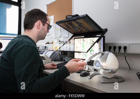 Les scientifiques sur un moniteur 3D à l'Université Heinrich-Heine à Düsseldorf Banque D'Images