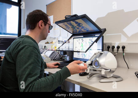 Les scientifiques sur un moniteur 3D à l'Université Heinrich-Heine à Düsseldorf Banque D'Images