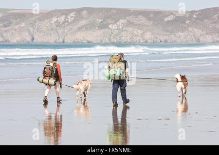 Les randonneurs avec chien,chiens sur, les longs délais, conduit, quartier calme hors-saison Newgale Plage le long chemin de Pembrokeshire Coast près de St David's. Le Pays de Galles dispose maintenant d'une pa Banque D'Images