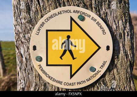 Signpost, doigt le long chemin de Pembrokeshire Coast près de St David's. Le Pays de Galles a maintenant un chemin côtier le long de son littoral. L'ouest du pays de Galles, Royaume-Uni, Europe. Mars. Photo Banque D'Images