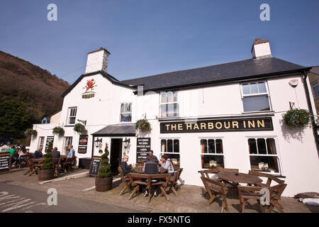 À 'Harbour Inn' pub sur une journée ensoleillée dans un joli village, Solva le long chemin de Pembrokeshire Coast près de St David's. Pays de Galles maintenant ha Banque D'Images