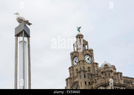 Vue sur le bâtiment du foie sur le quai, Liverpool, Royaume-Uni. Banque D'Images