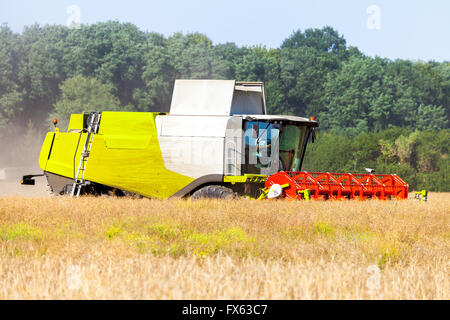 Havester allemande travaille sur un champ de maïs Banque D'Images