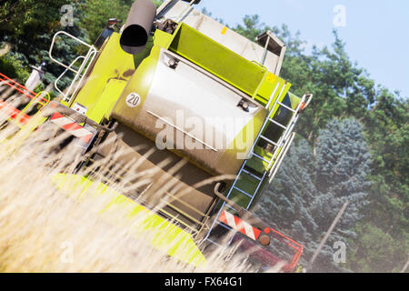 Havester allemande travaille sur un champ de maïs Banque D'Images