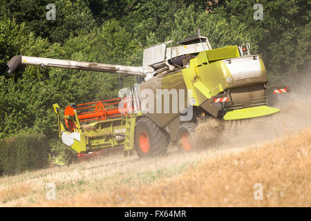 Havester allemande travaille sur un champ de maïs Banque D'Images