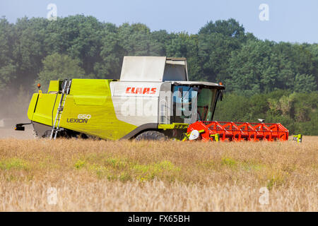 Havester allemande travaille sur un champ de maïs Banque D'Images