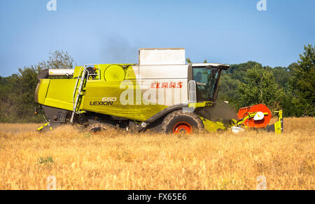 Havester allemande travaille sur un champ de maïs Banque D'Images