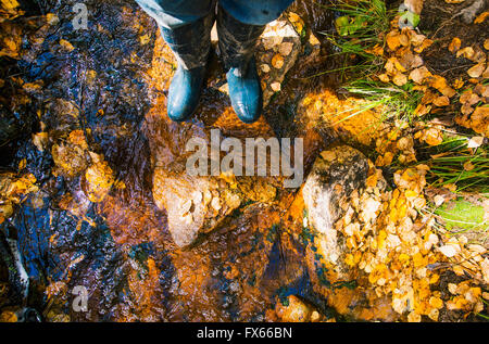 High angle view of woman standing in autumn leaves Banque D'Images