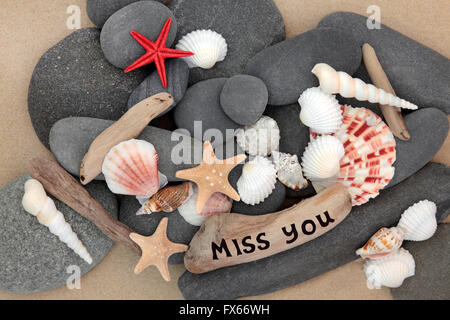 Sea Shell, du bois flotté et de galets sur une plage de sable avec Mlle vous vous inscrivez. Banque D'Images