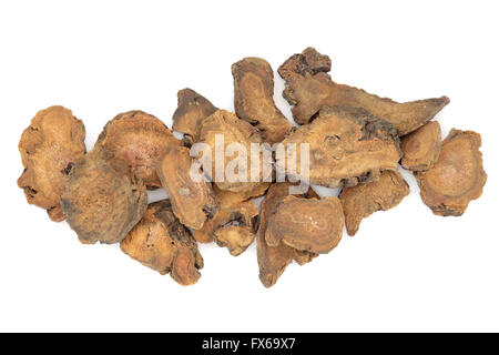 Racine de rhubarbe herbe utilisée dans la médecine chinoise à base de plantes sur fond blanc. Da huang. Banque D'Images