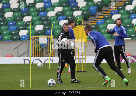 27 mars 2016 - défi international de Vauxhall (Friendly). L'Irlande du Nord v Slovénie. L'entraîneur de l'Irlande du Nord Stephen Robinson lors de la formation. Banque D'Images