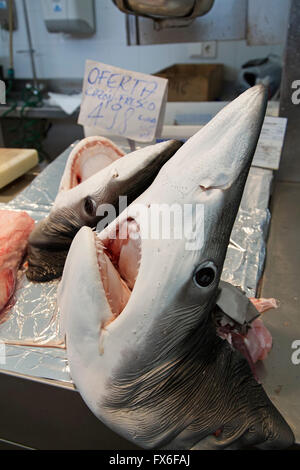 Le chien de tête, Marché Central des Poissons. La ville de Cadiz, Andalousie Espagne. L'Europe Banque D'Images