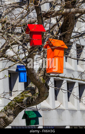 Nichoirs colorés pour toutes les tailles d'oiseaux suspendus dans un arbre Banque D'Images