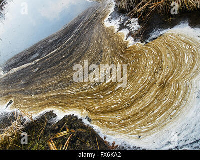 L'eau polluée avec brown écume des déchets Banque D'Images