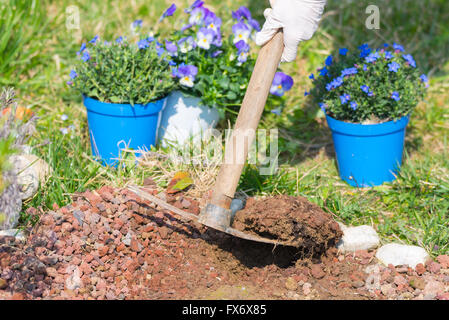 Printemps accueil jardinage, biner le sol et planter des fleurs. Prendre soin de plantes et de travail manuel dans le jardin d'accueil. Banque D'Images