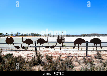 L'ÉMEU L'Art animalier, Wave Rock Resort, Hyden, Australie occidentale, WA, Australia Banque D'Images