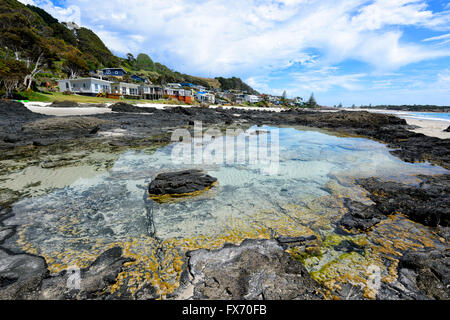 Boat Harbour Beach, Tasmanie, Australie Banque D'Images