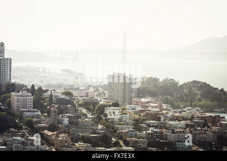 Panorama aériennes spectaculaires de San Francisco Financial District fait à partir de l'étage supérieur de la Coit Tower sur sunny day, Californie Banque D'Images